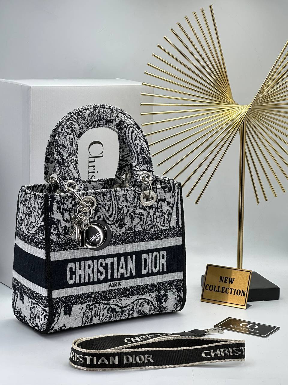 Canta Christian Dior