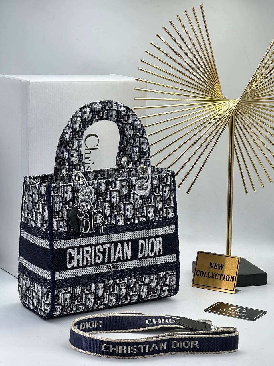 Canta Christian Dior