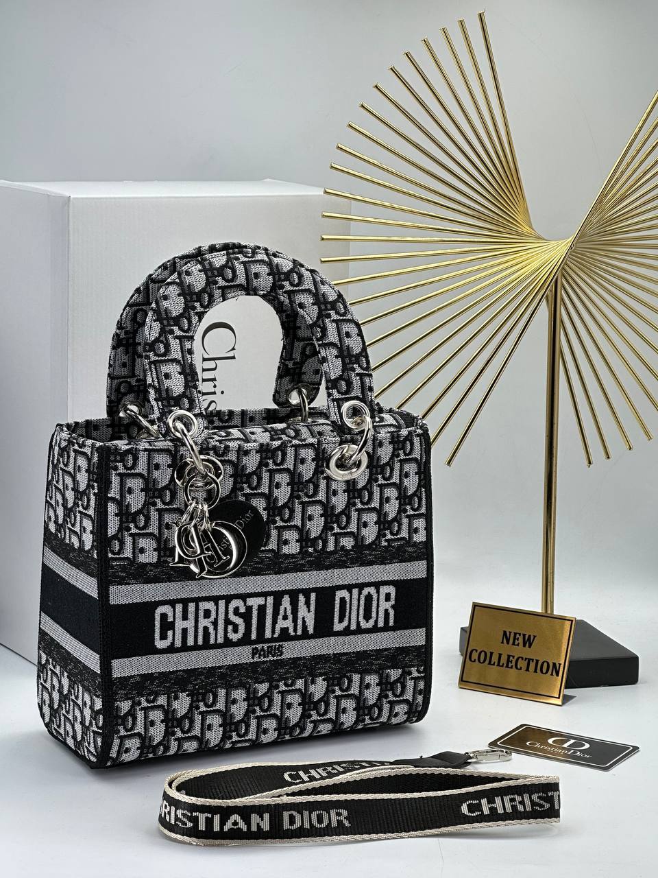 Canta Christian Dior
